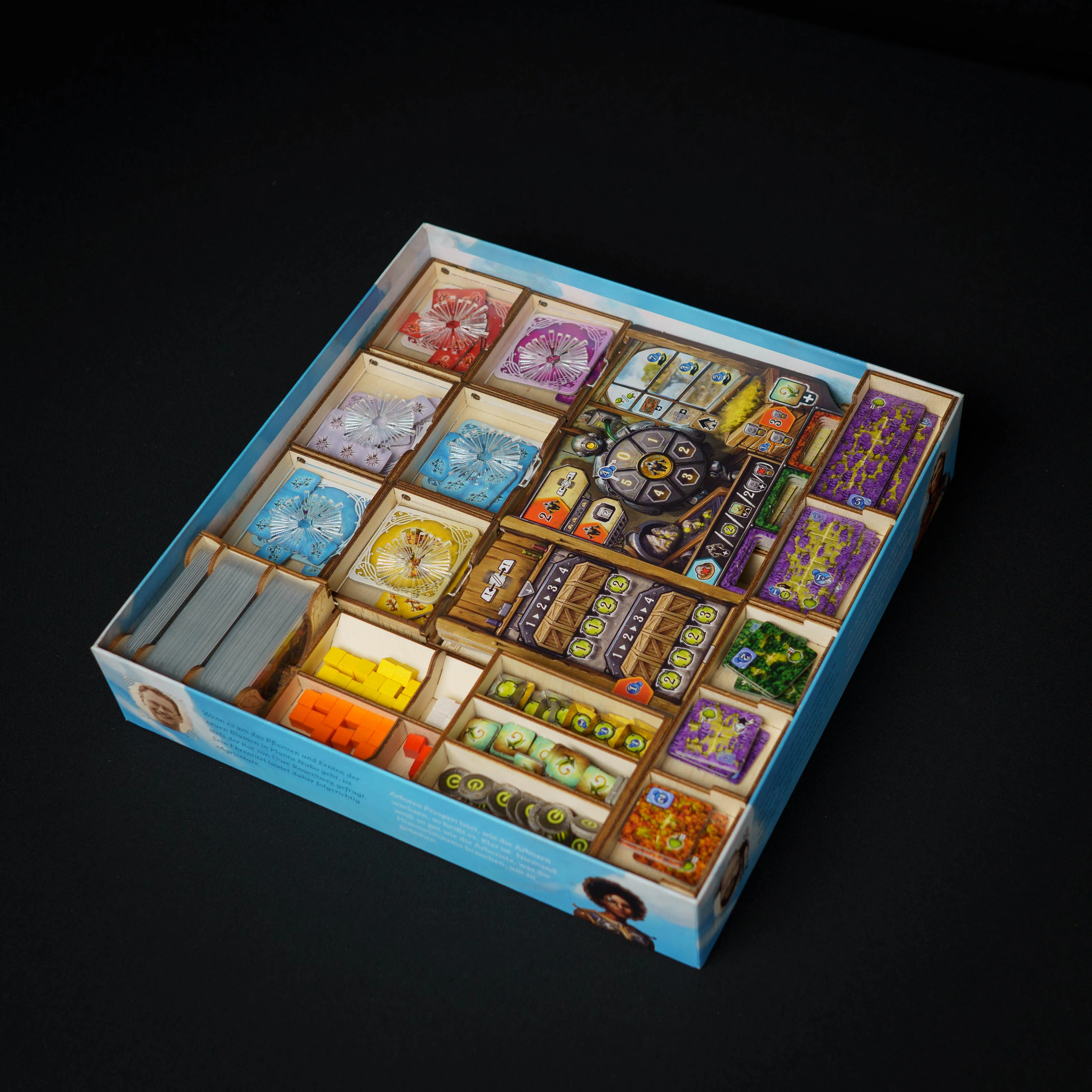Thumbnail 13
